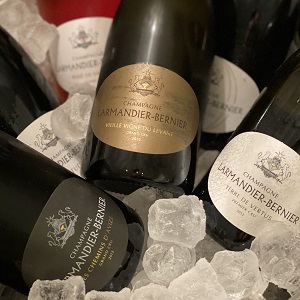 Uus! Organic & Biodynamic Champagne