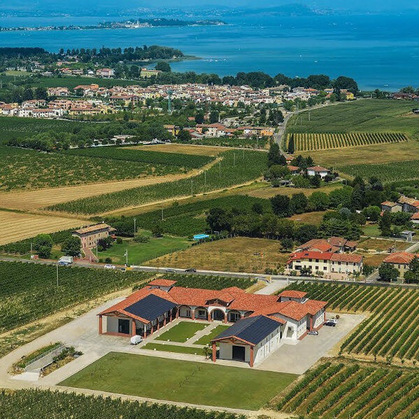 Le Morette viinamarjaaiad Garda järve kaldal Luganas