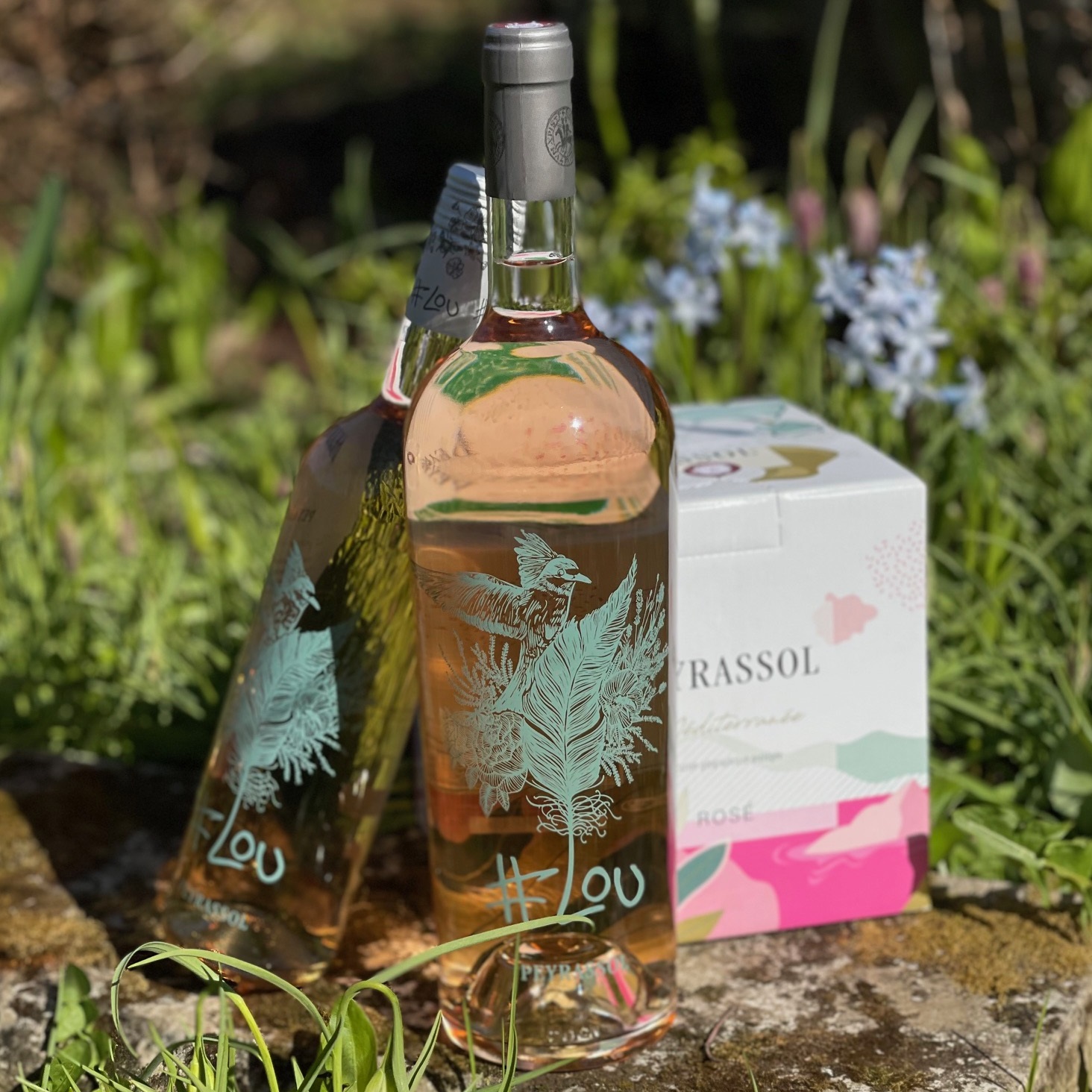 Provence Rosé Magnum 2022 aastakäik suveks valmis