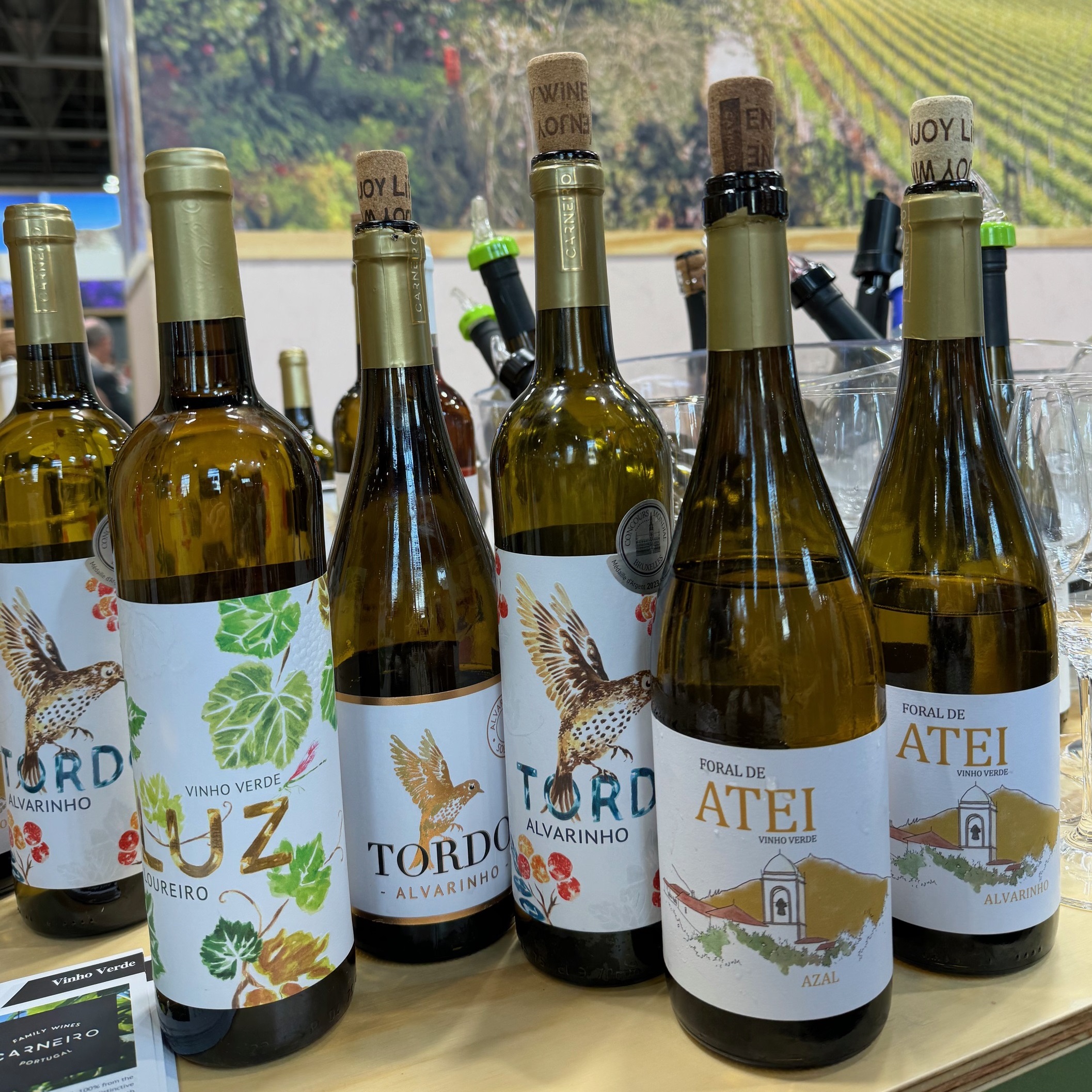 Vino Verde piirkonna Carneiro perekonna veinivalik